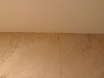 Mold in shower