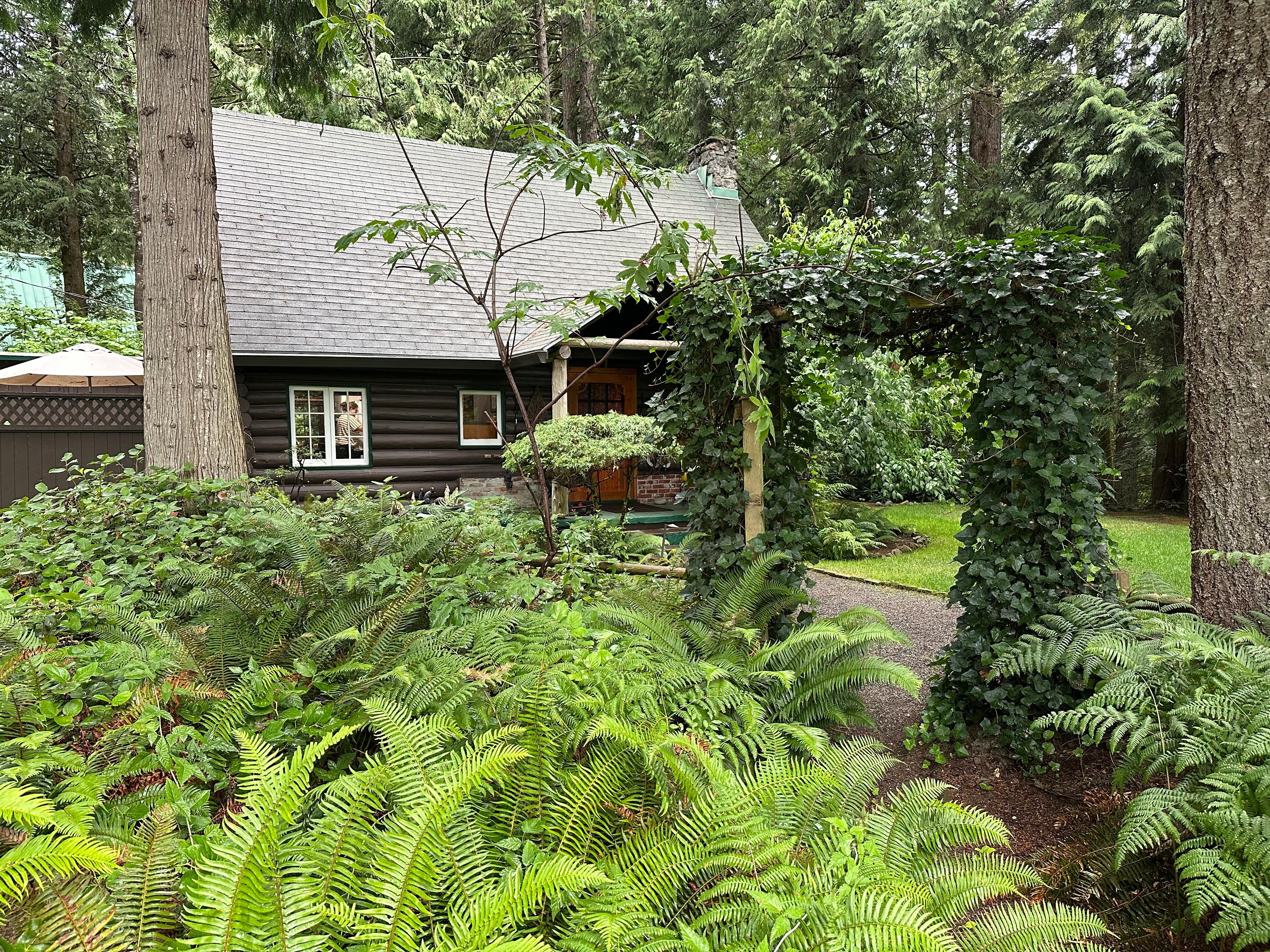 Approaching the cabin