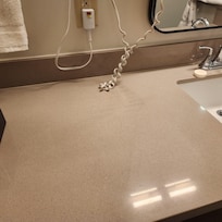 Large hair on countertop