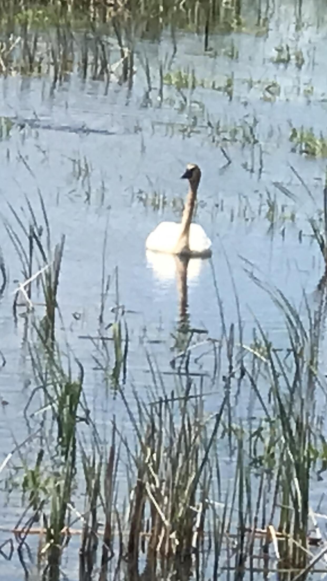 At nearby Wildlife Preserve