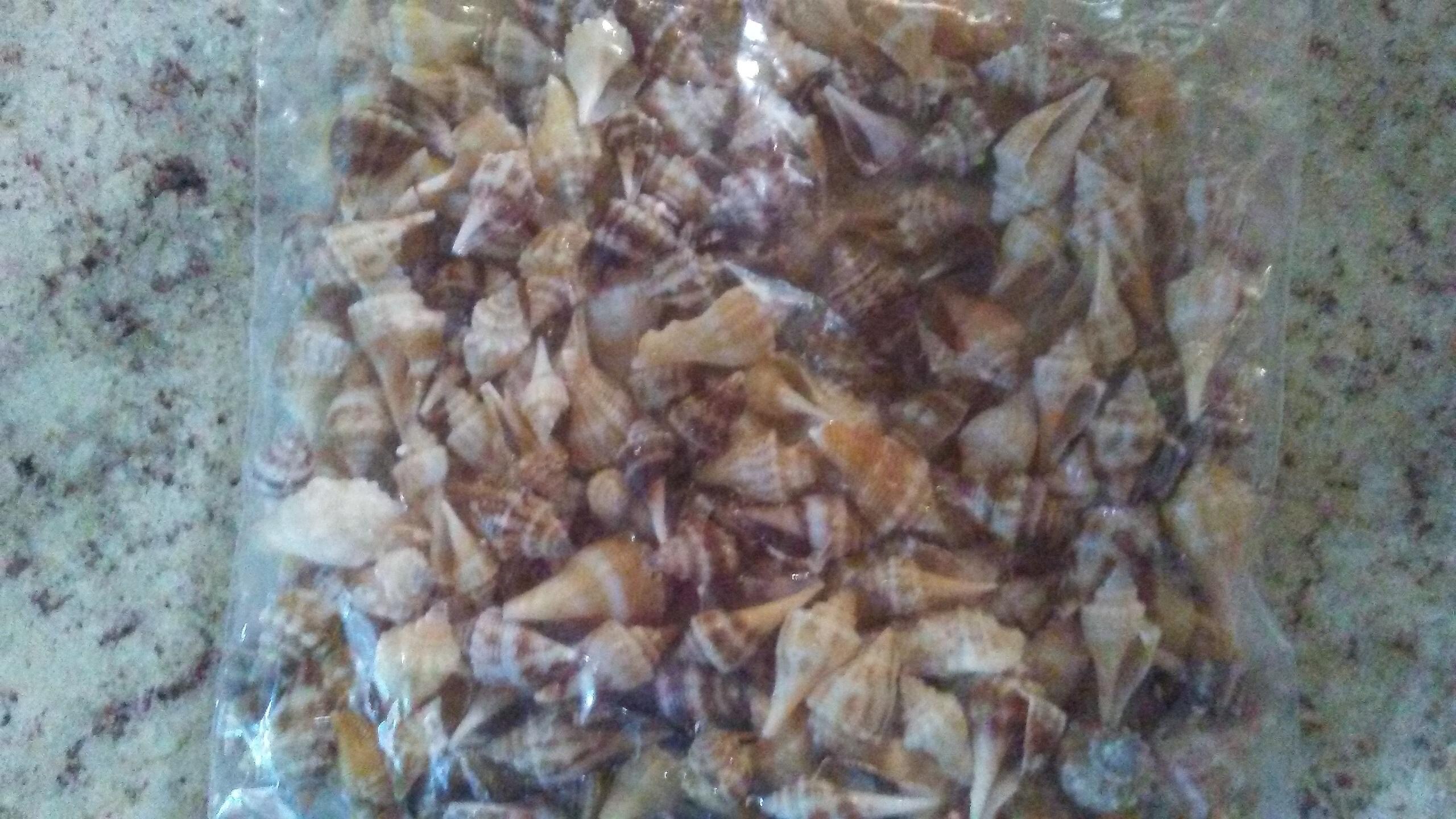 Great shelling