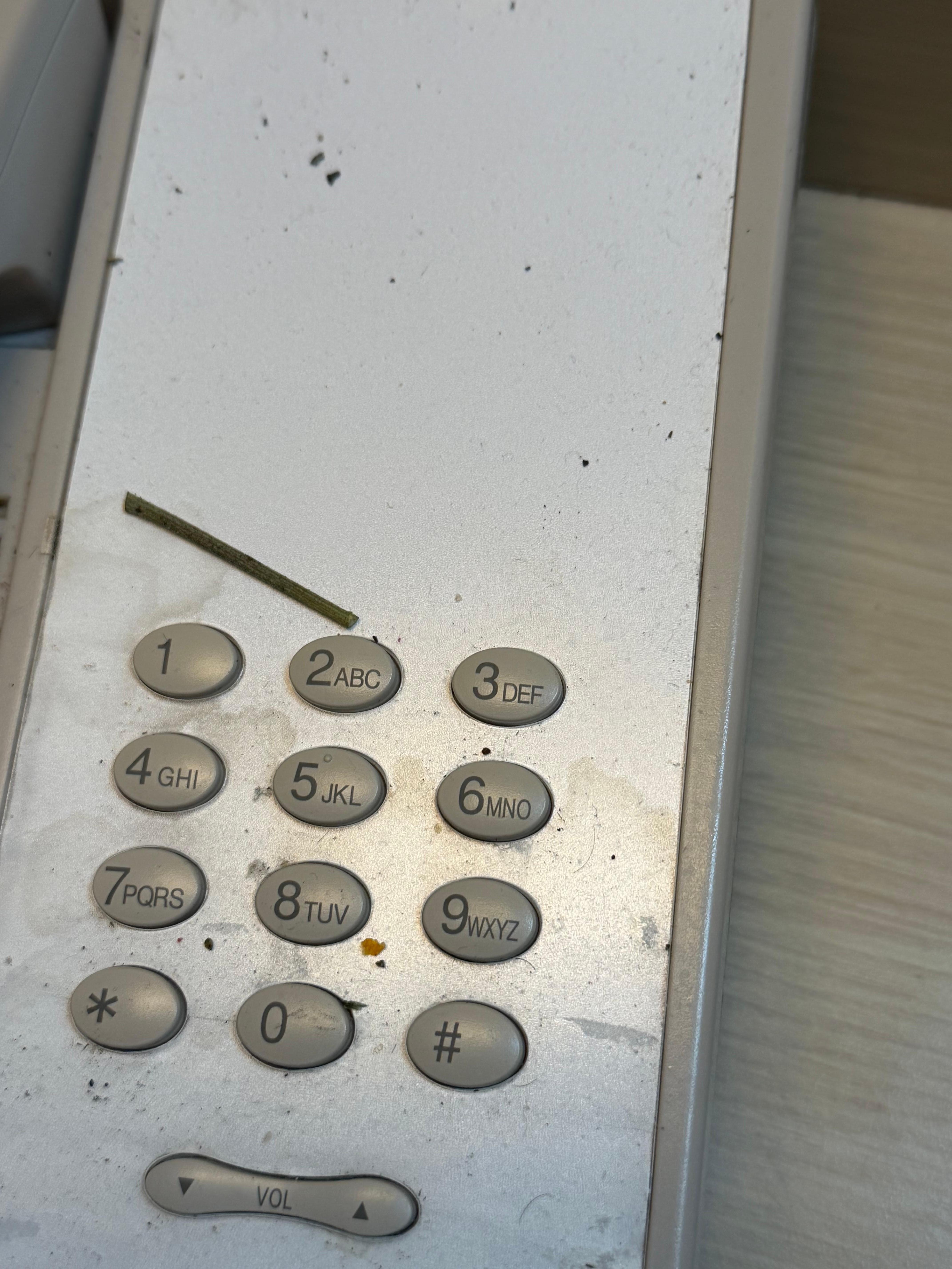 Inscents smoke debris 