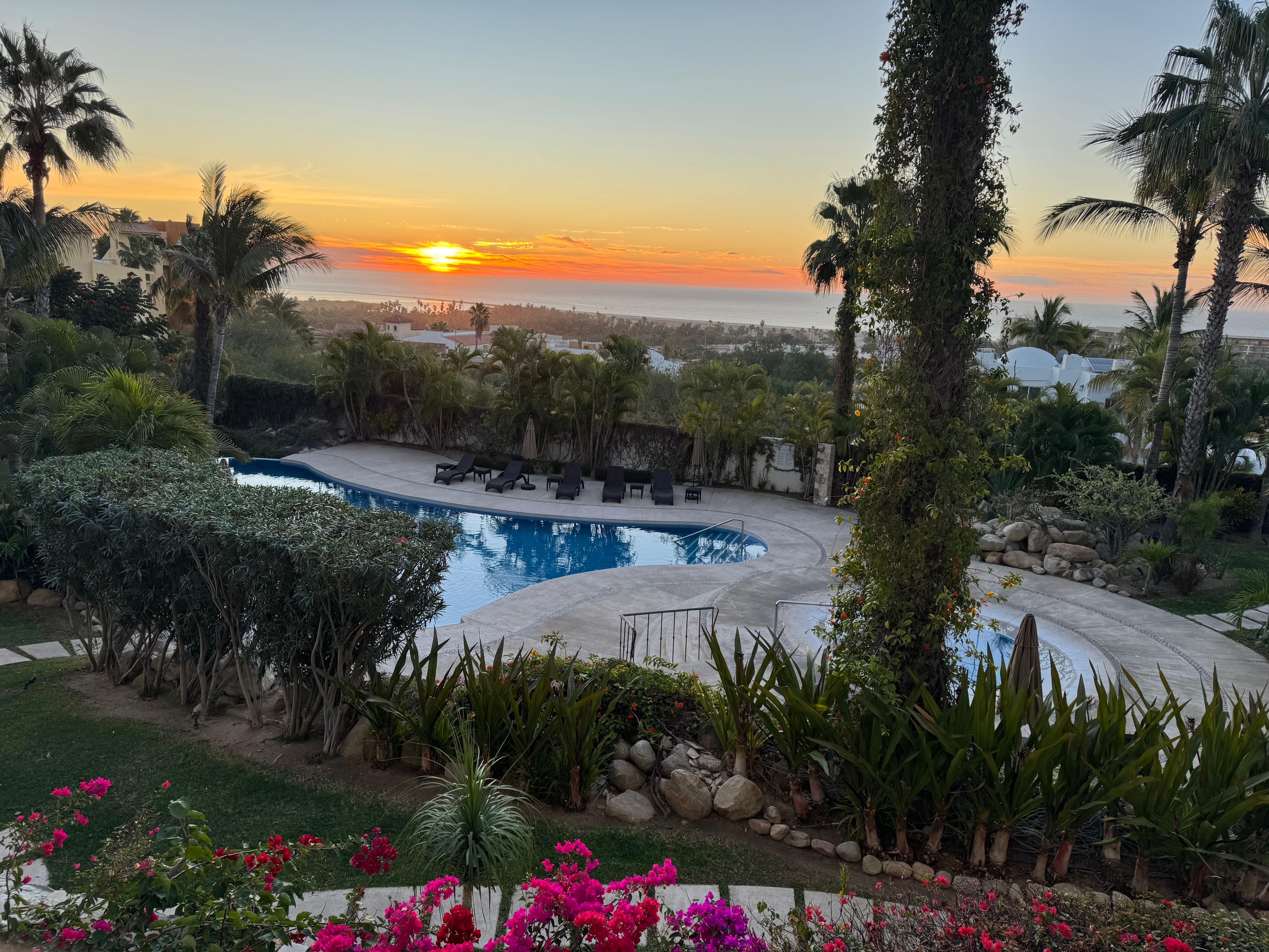 View from the patio.