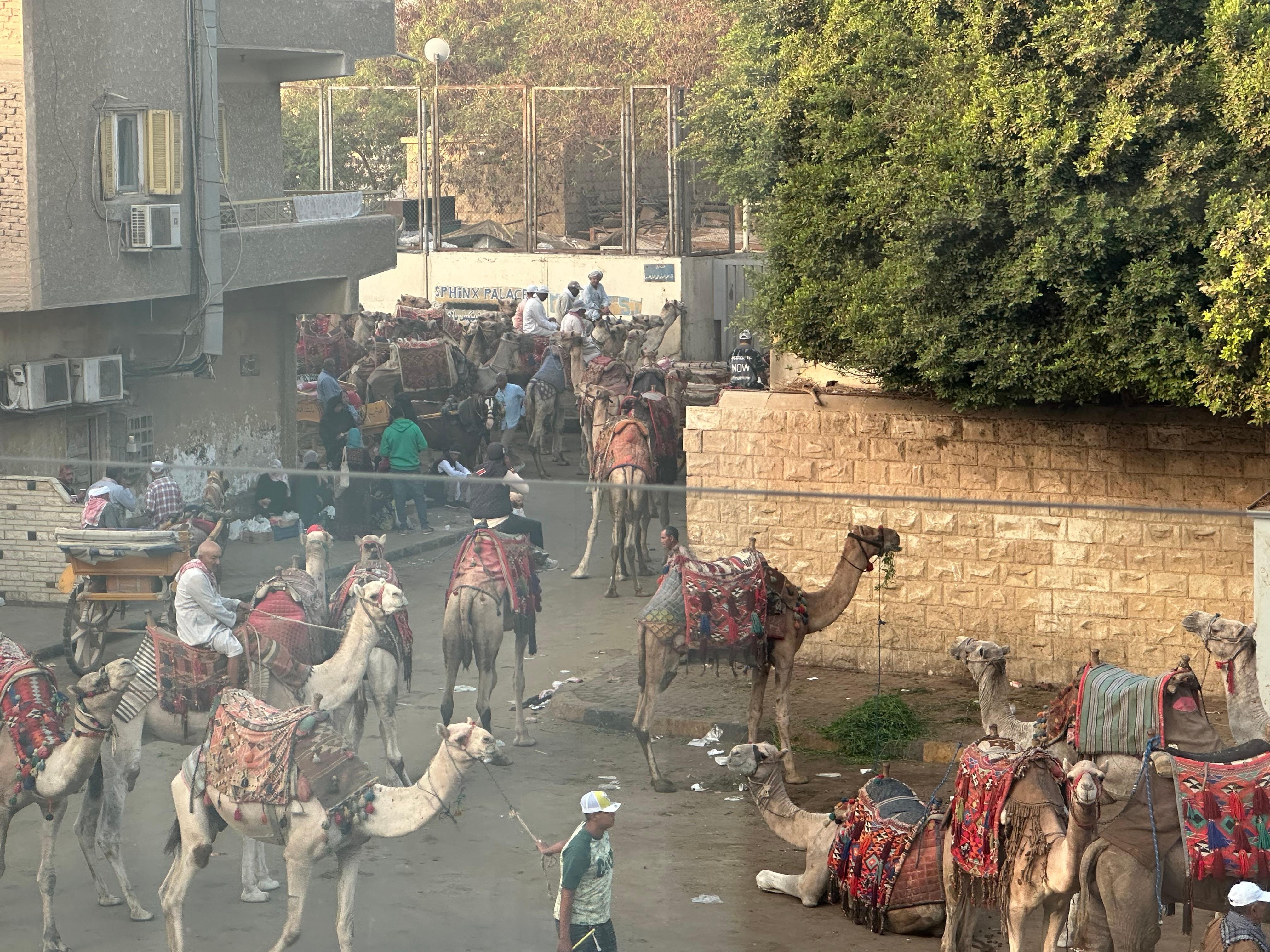 Blick vom Balkon Morgens ca. 06:20