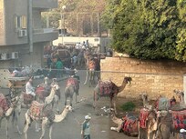 Blick vom Balkon Morgens ca. 06:20