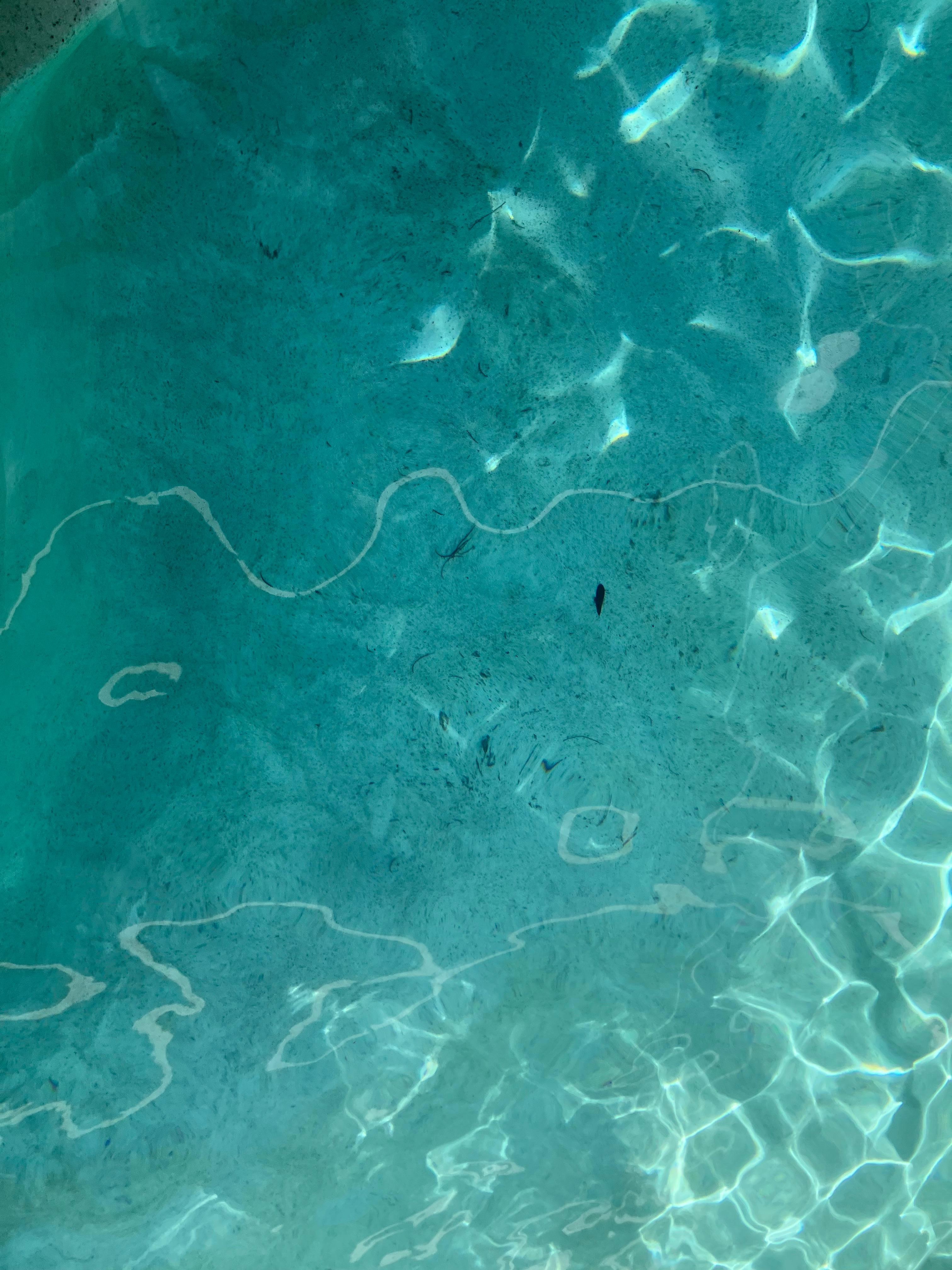 Camera in pool area aimed towards the entirety of the pool and only aimed towards one out of the two pool doors.