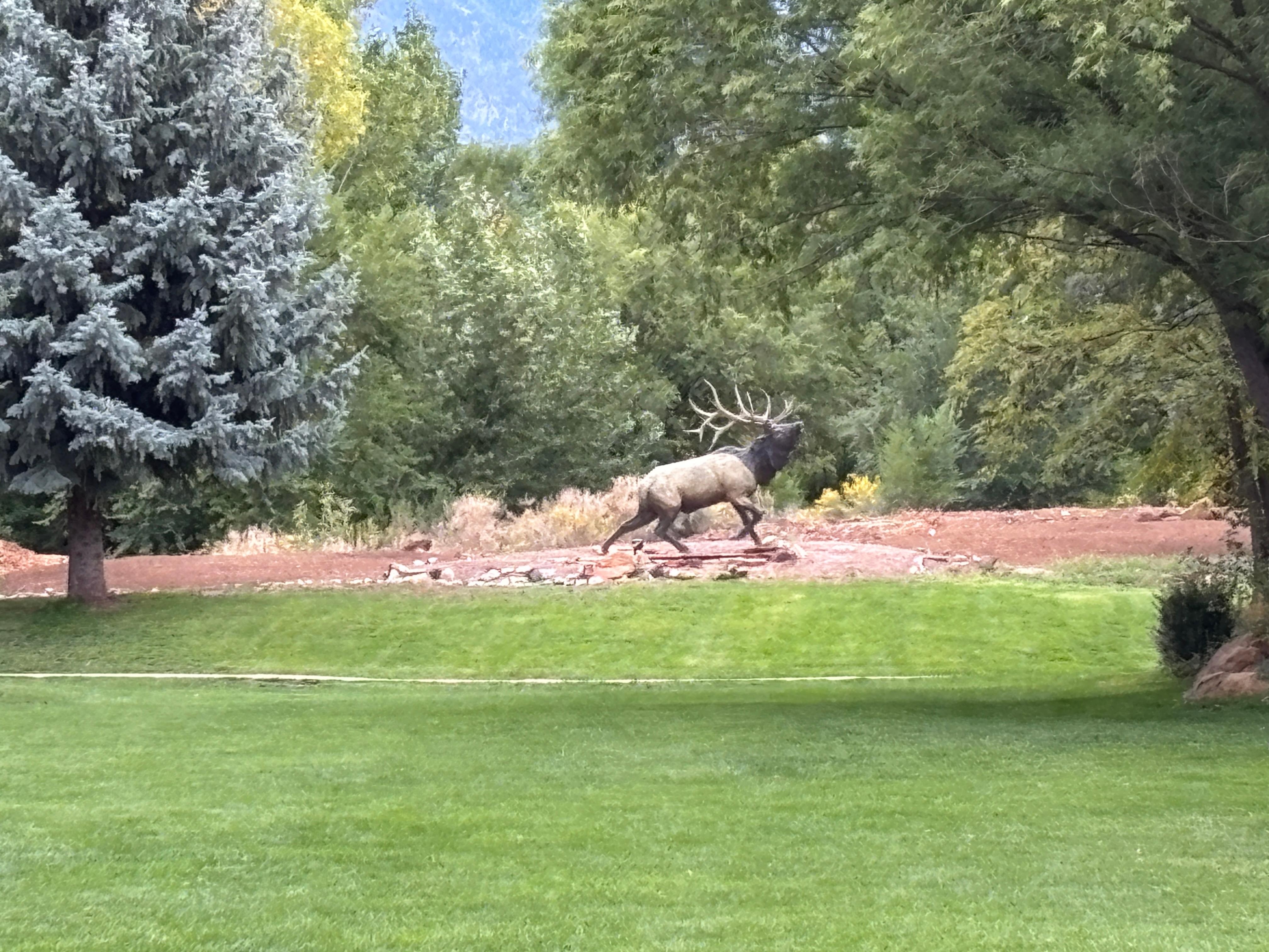 Wonder, well kept grounds - Family friendly.