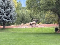 Wonder, well kept grounds - Family friendly.