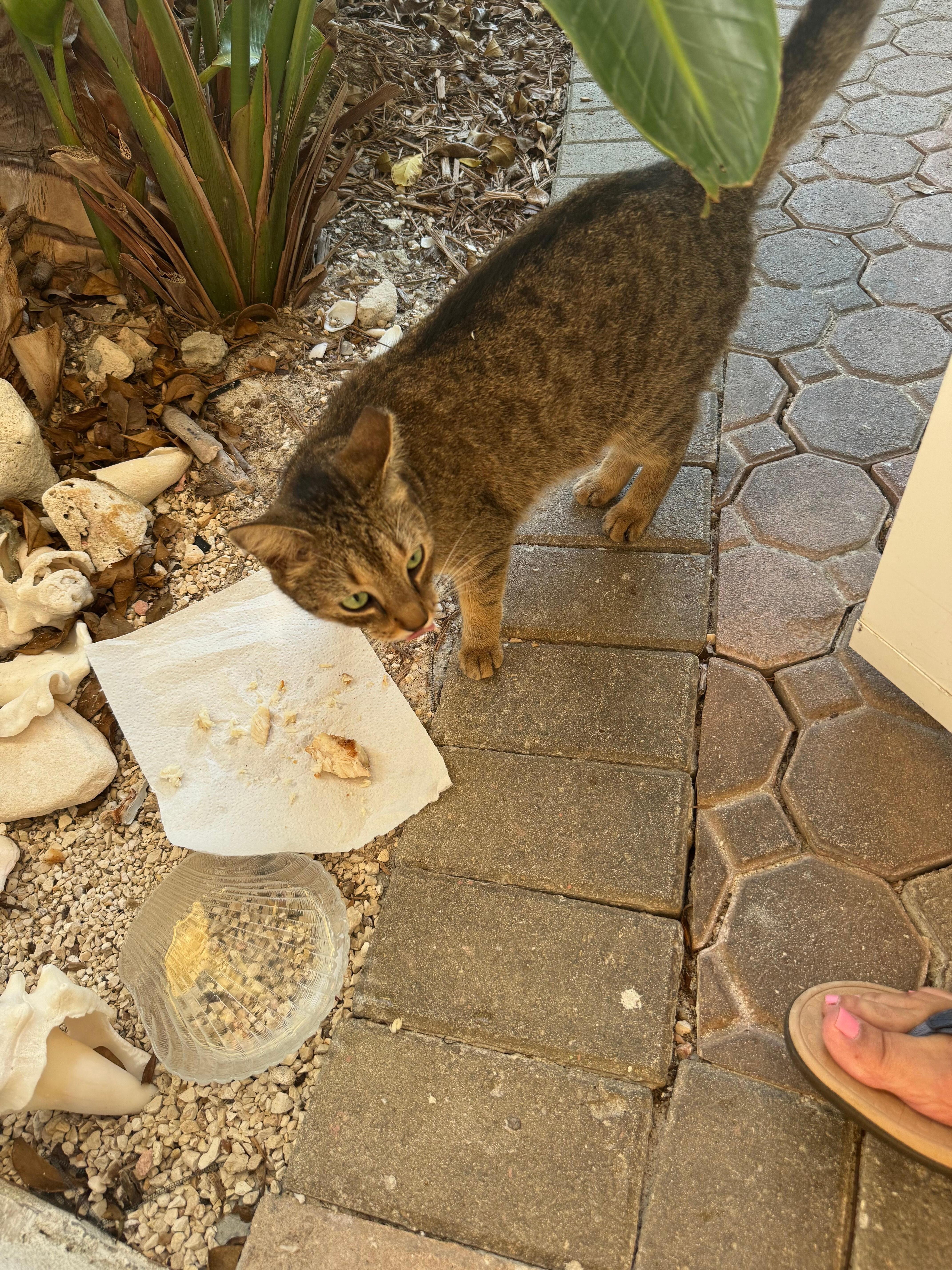 made a friend!
