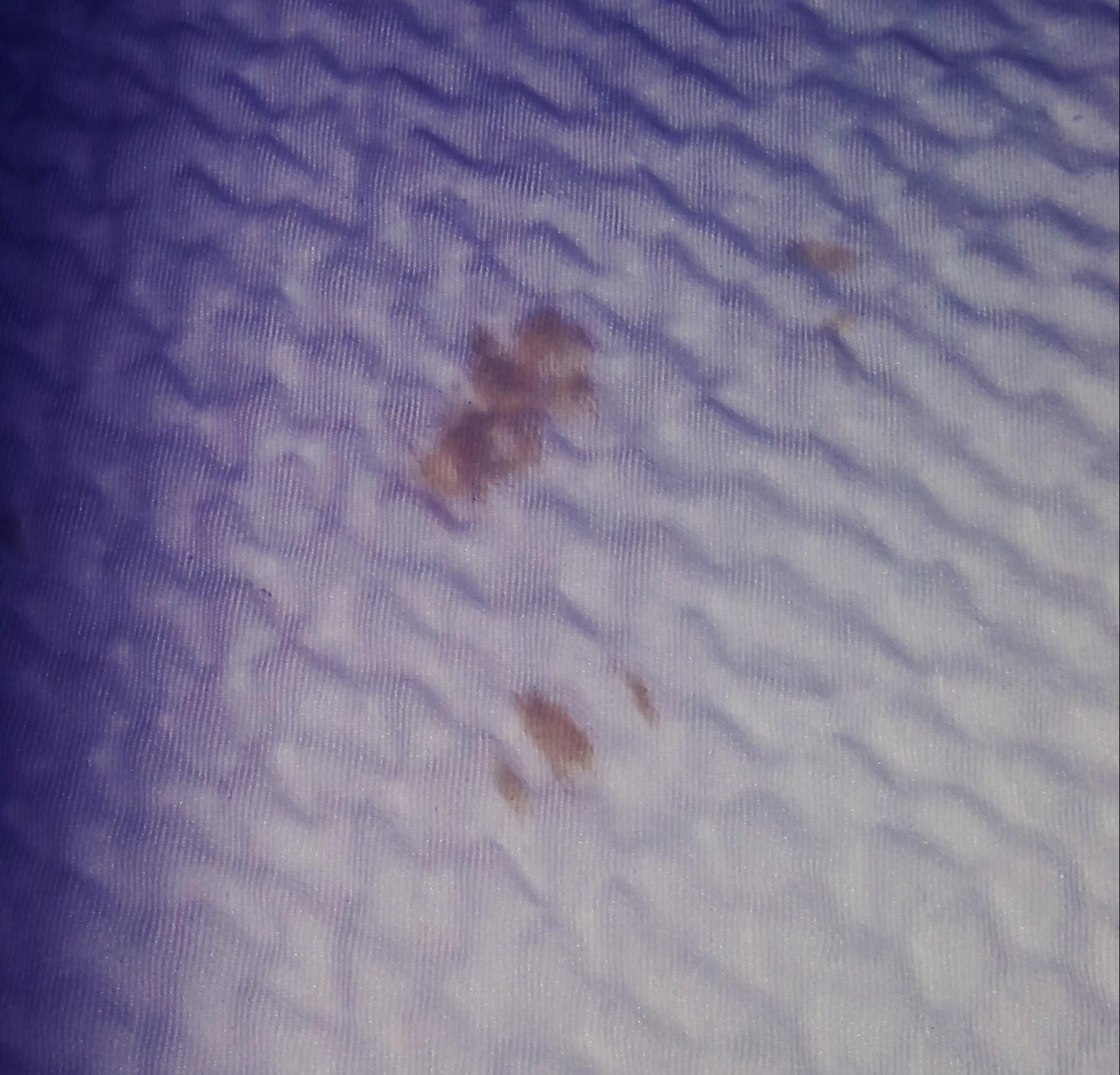 stains found on 2nd bed sheets located on non-functioning lamp that later had bulb flipped to other socket