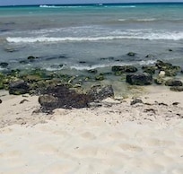 Beware of misleading details in hotel information showing beach access in photos. Unfortunately the actual beach looks nothing like the photos as it is not suitable for bathing, there are rocks with sea urchins on them.