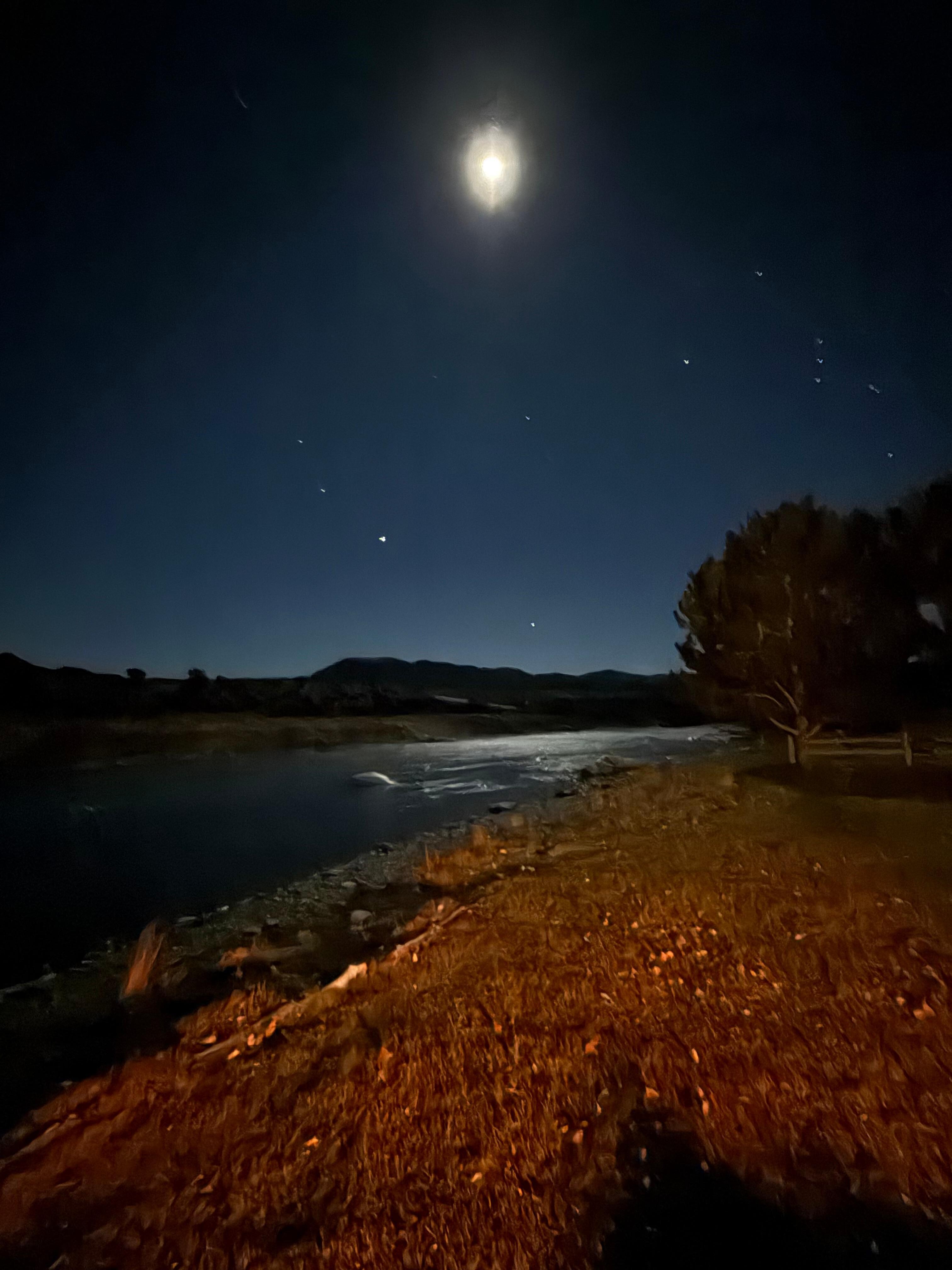Moonlit river view