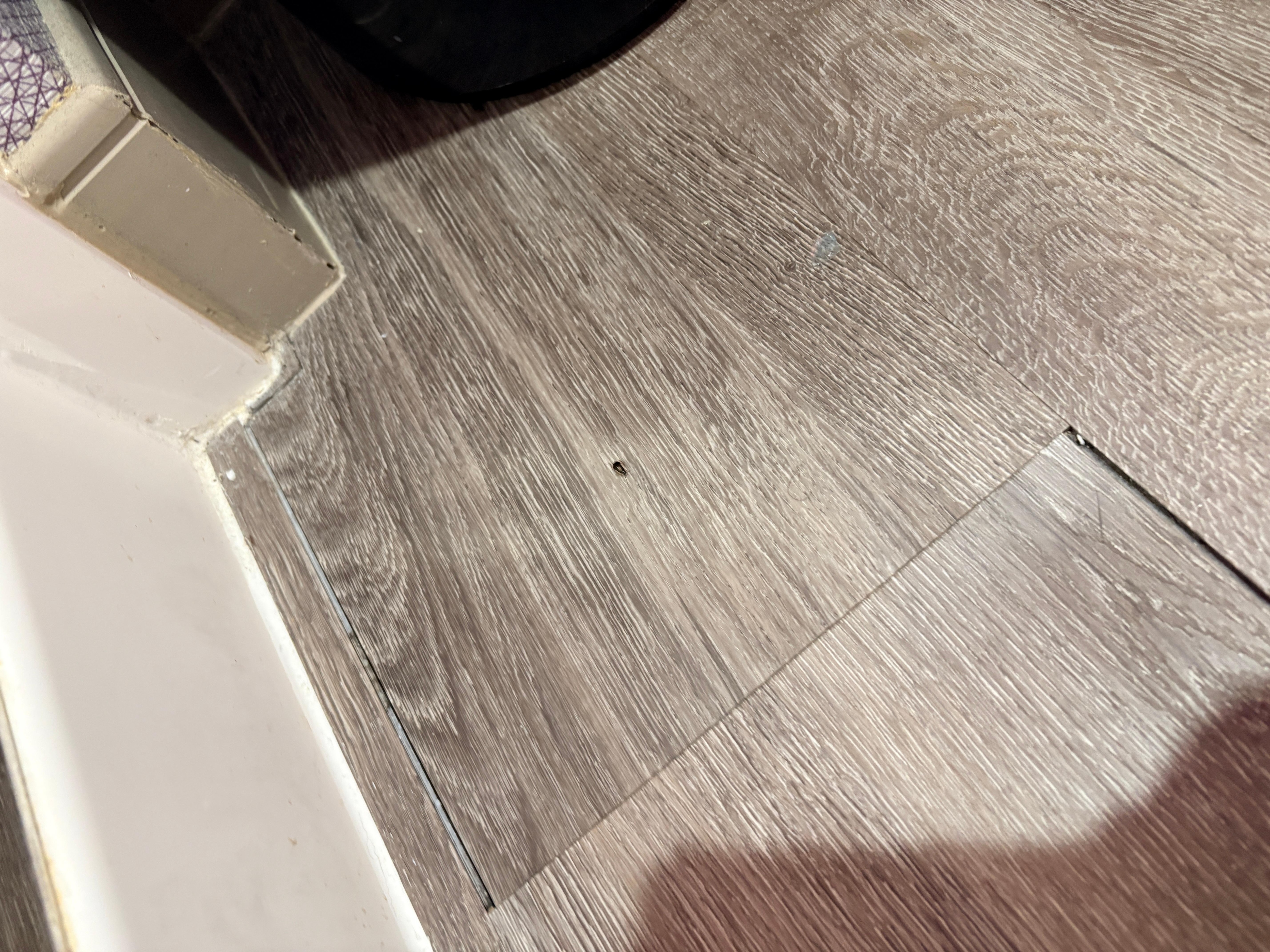 Roaches all over place 