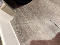 Roaches all over place