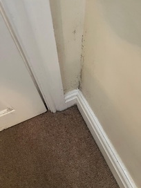 Mold in room