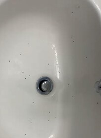 We found bugs in the room and restroom