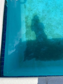 Dirty Pool Water