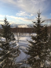 Morning view from our window.