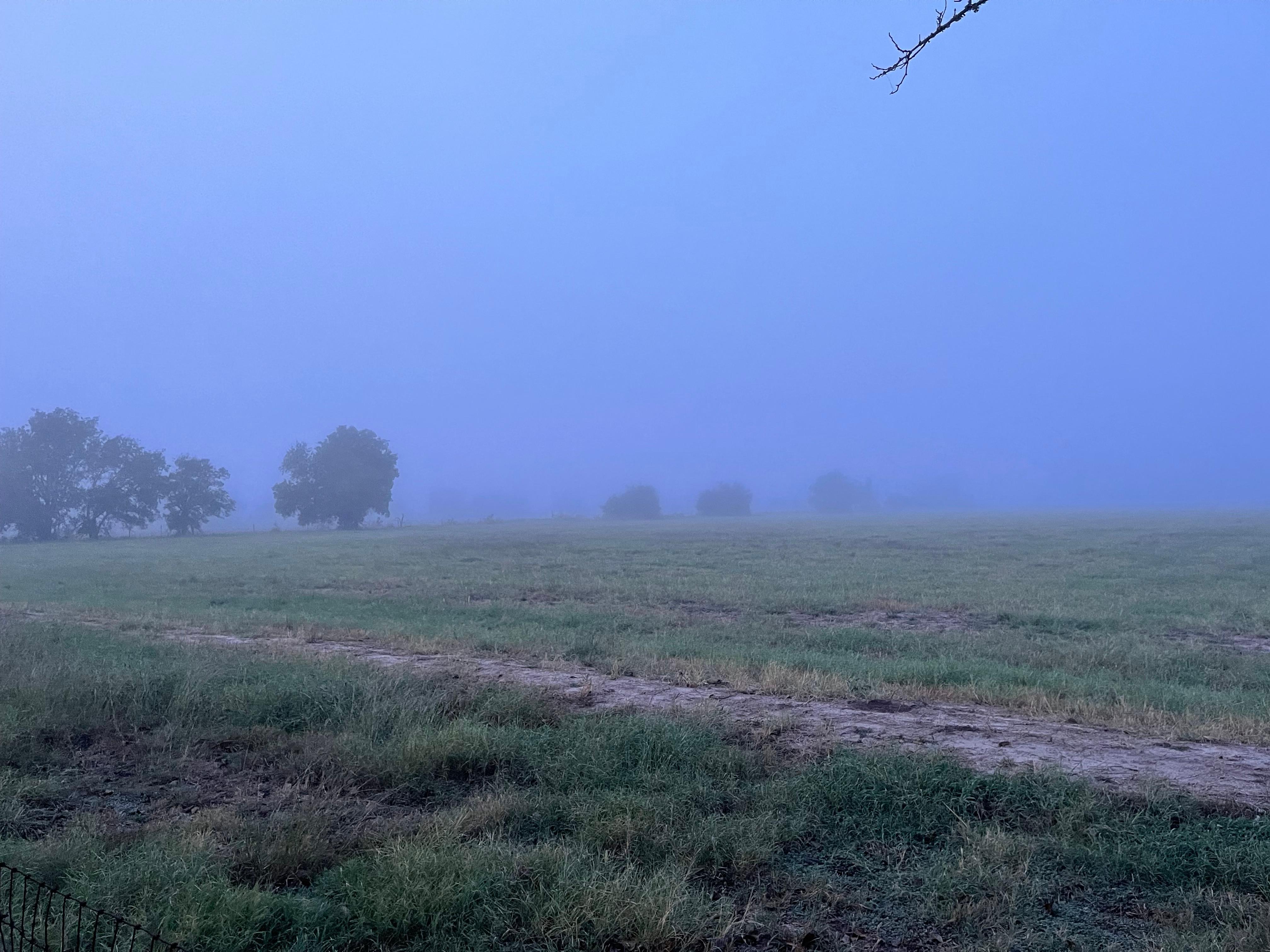 View off the back porch.