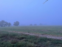 View off the back porch.