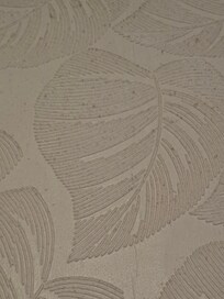 Walls covered in dust