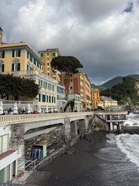 Looking back at the apartment building just past the tree