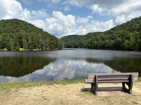 Enjoying the lake view at the MSU campus