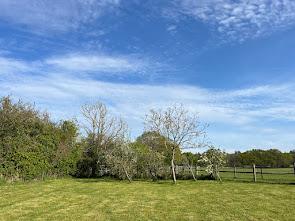 garden area