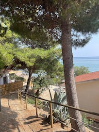 View from the house, nicely shaded to protect from the hot sun