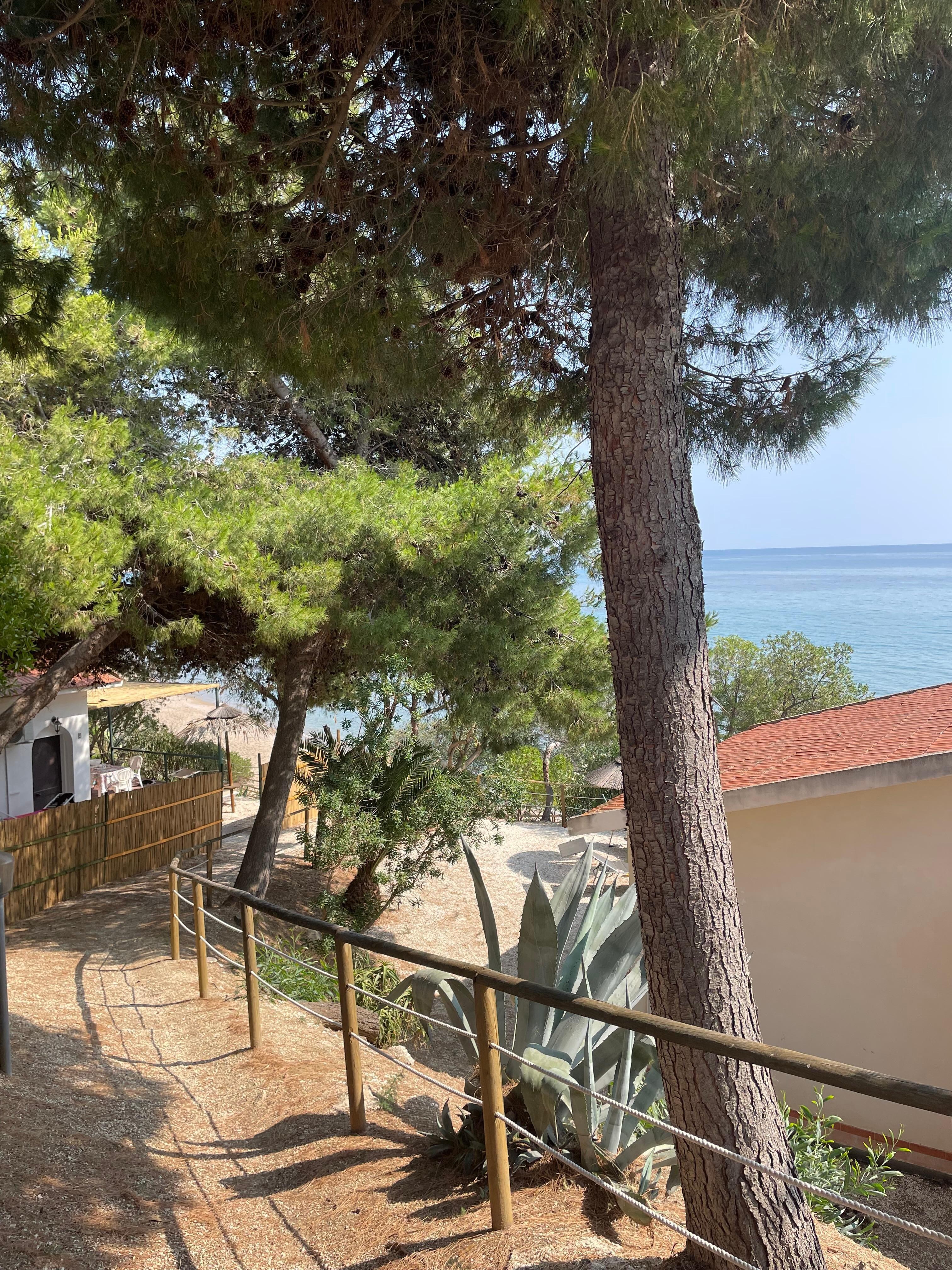 View from the house, nicely shaded to protect from the hot sun 