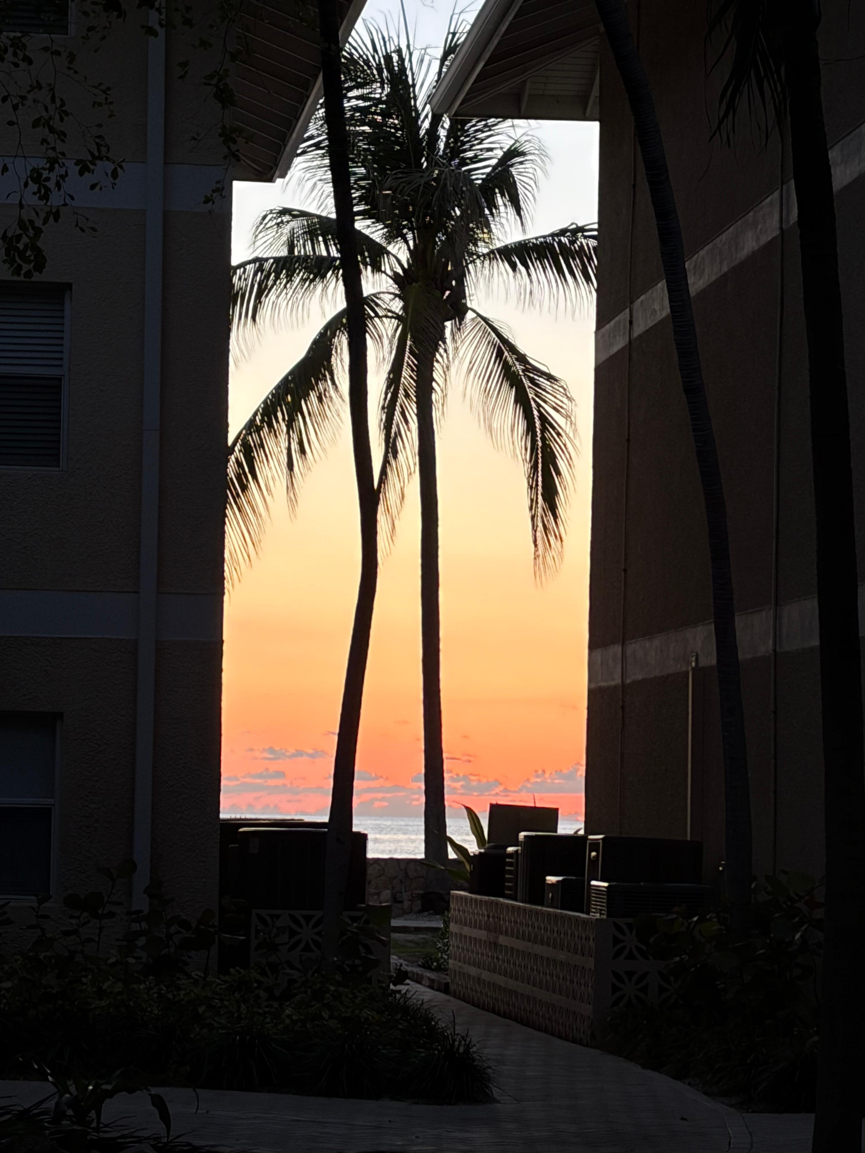 Walking path to beach.