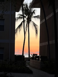 Walking path to beach.