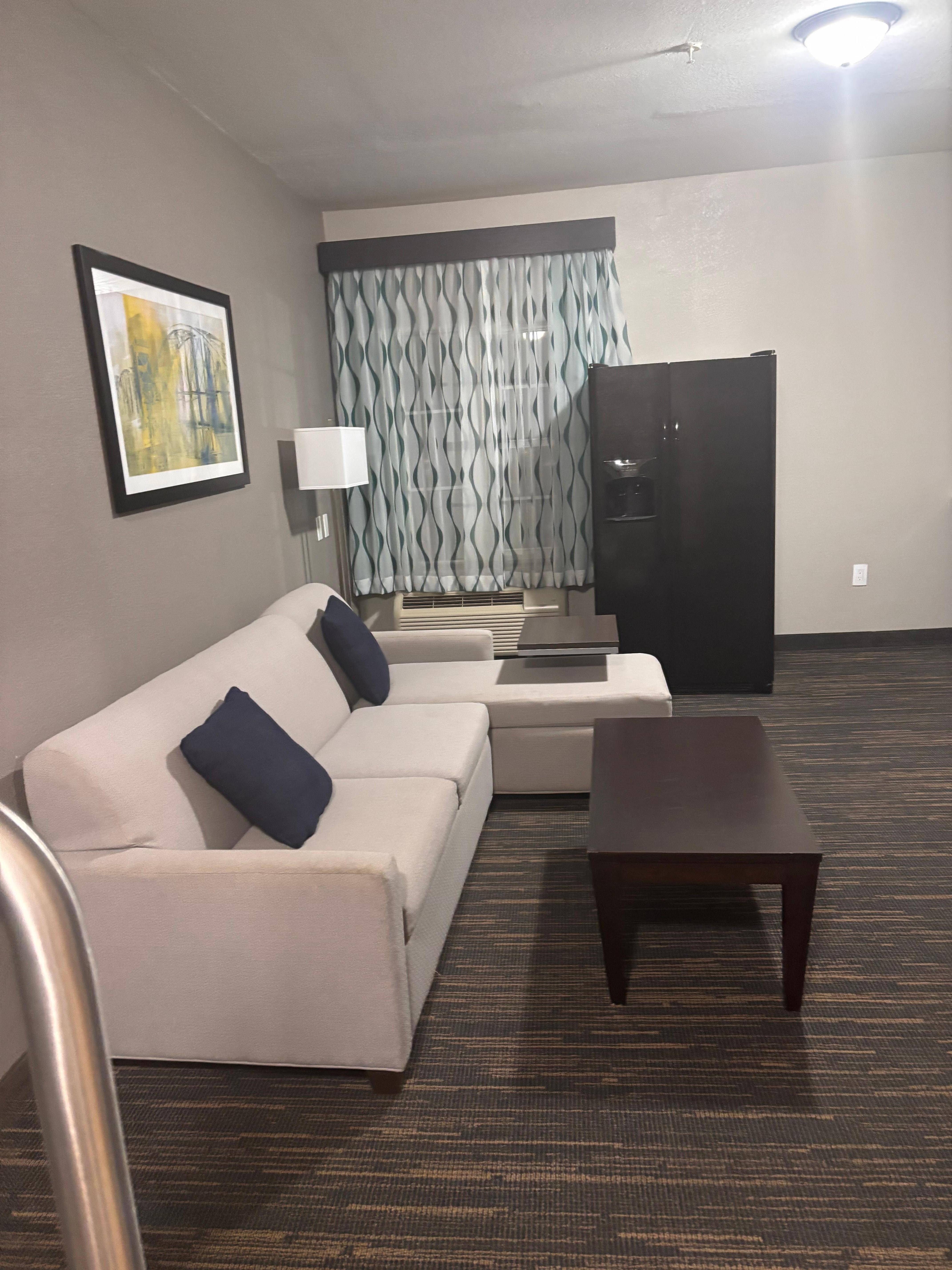 Living room with fridge and sink/ microwave 