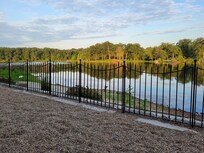 Lakeside view