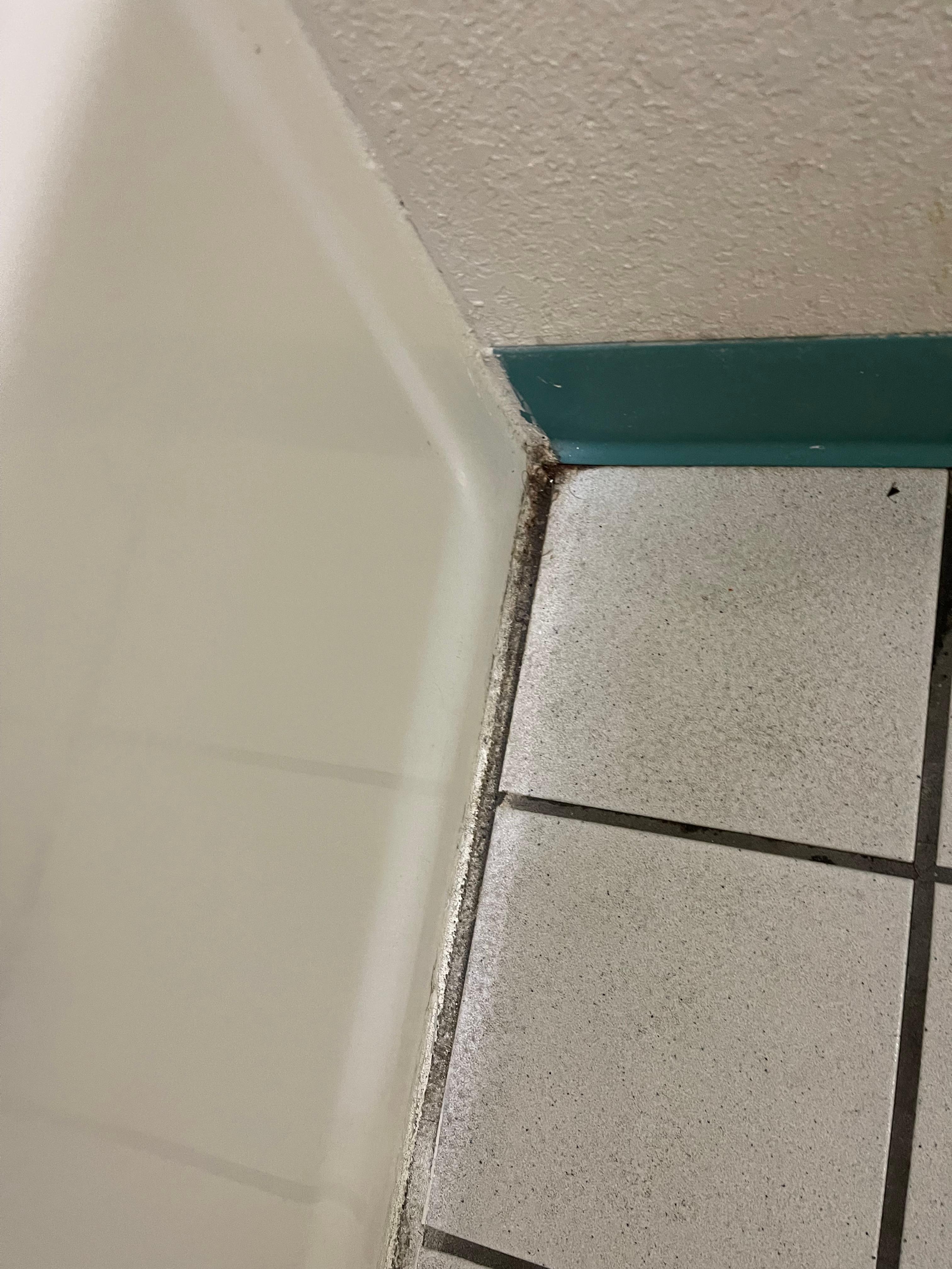 Mold on the floo