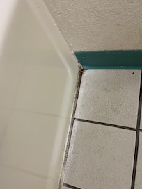 Mold on the floo