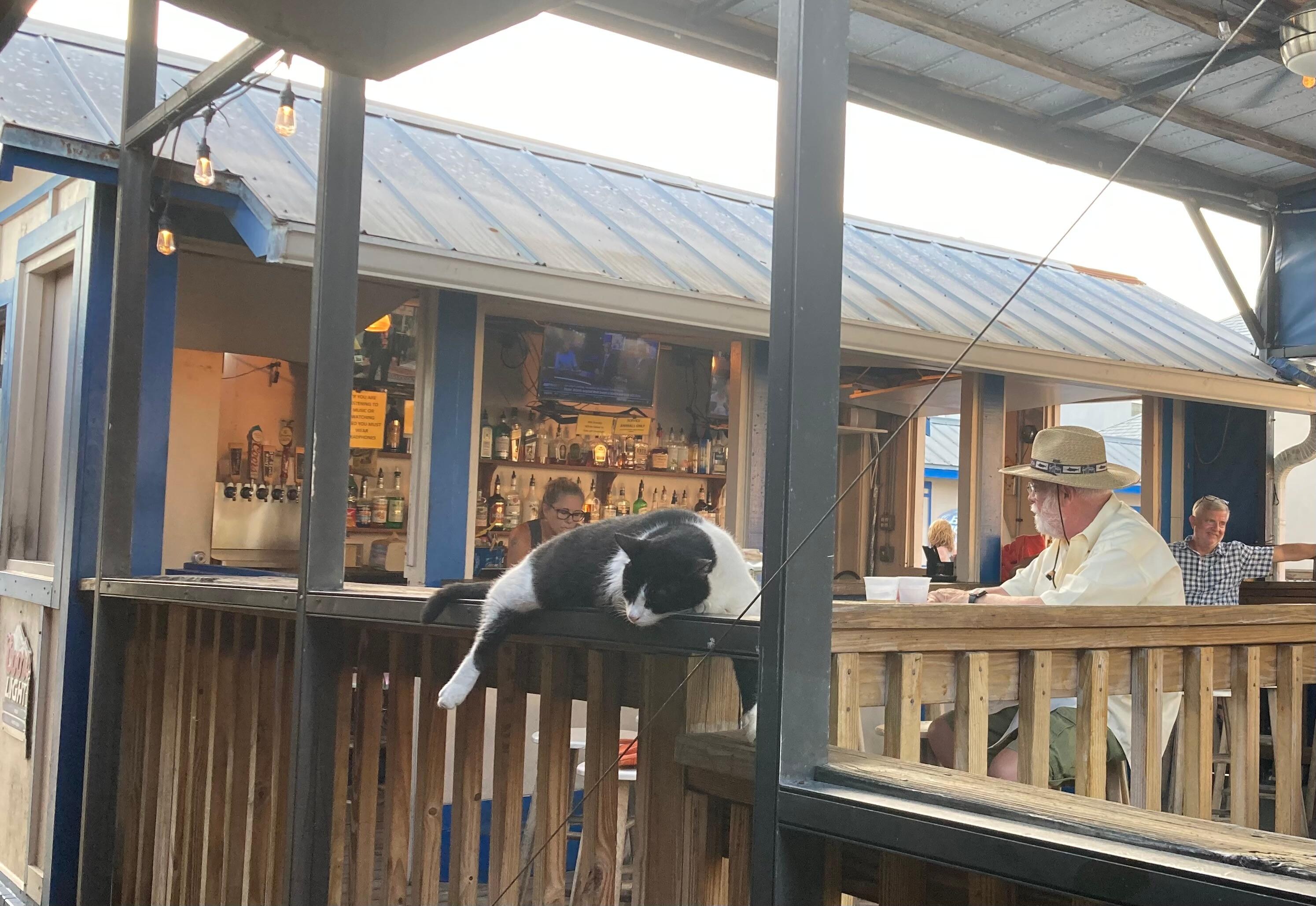 A local brewery.