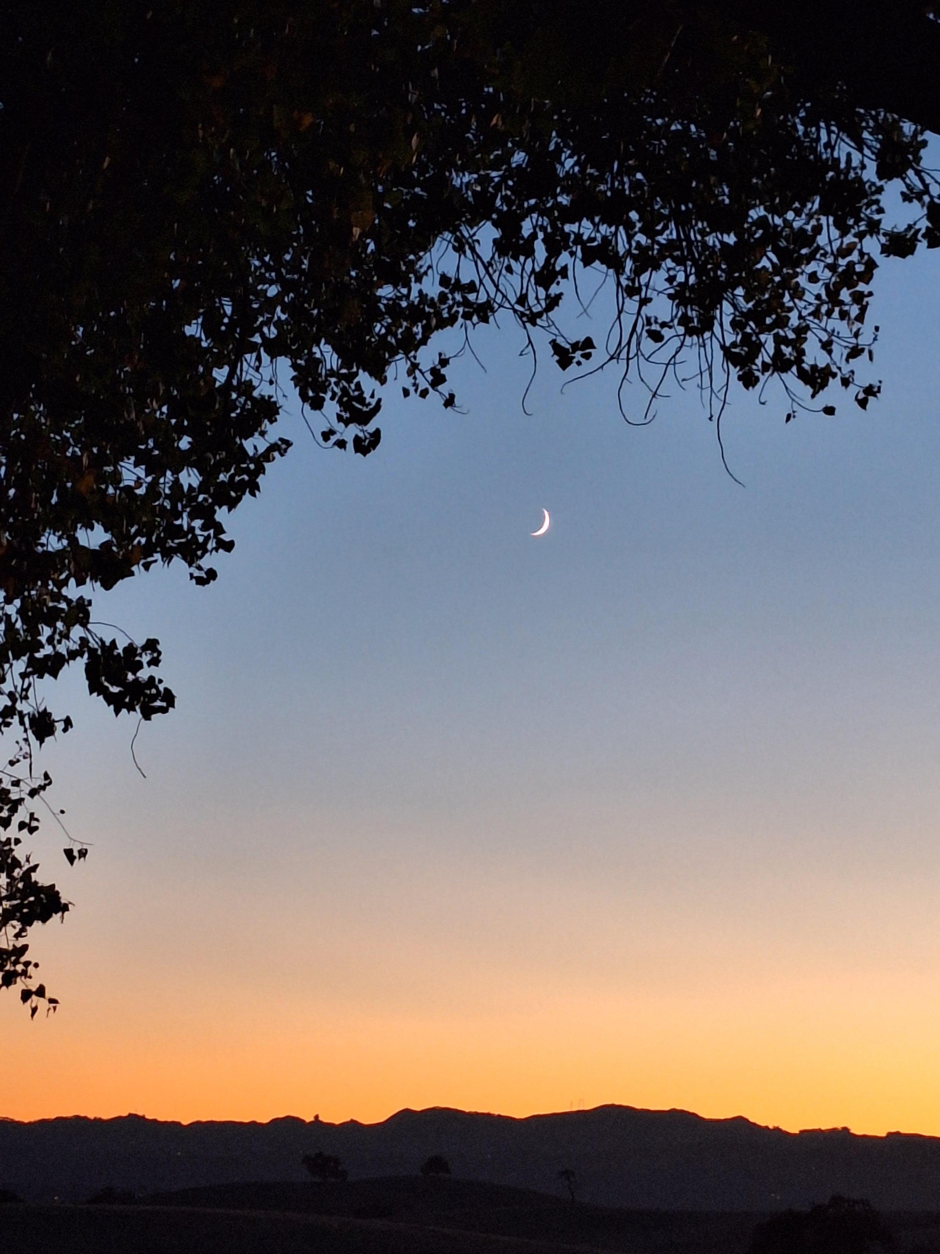 Sunset from side of house.