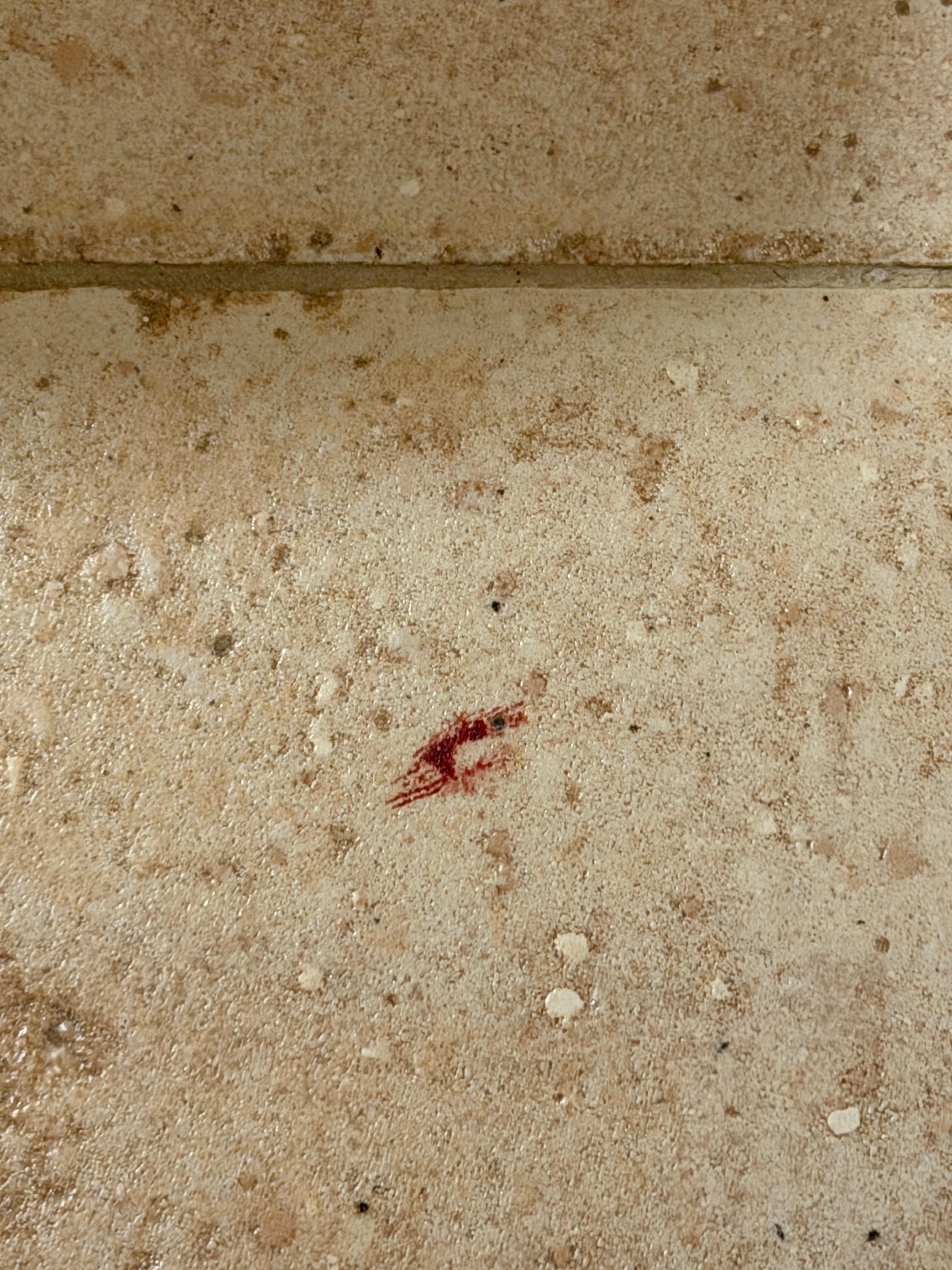 Blood on floor