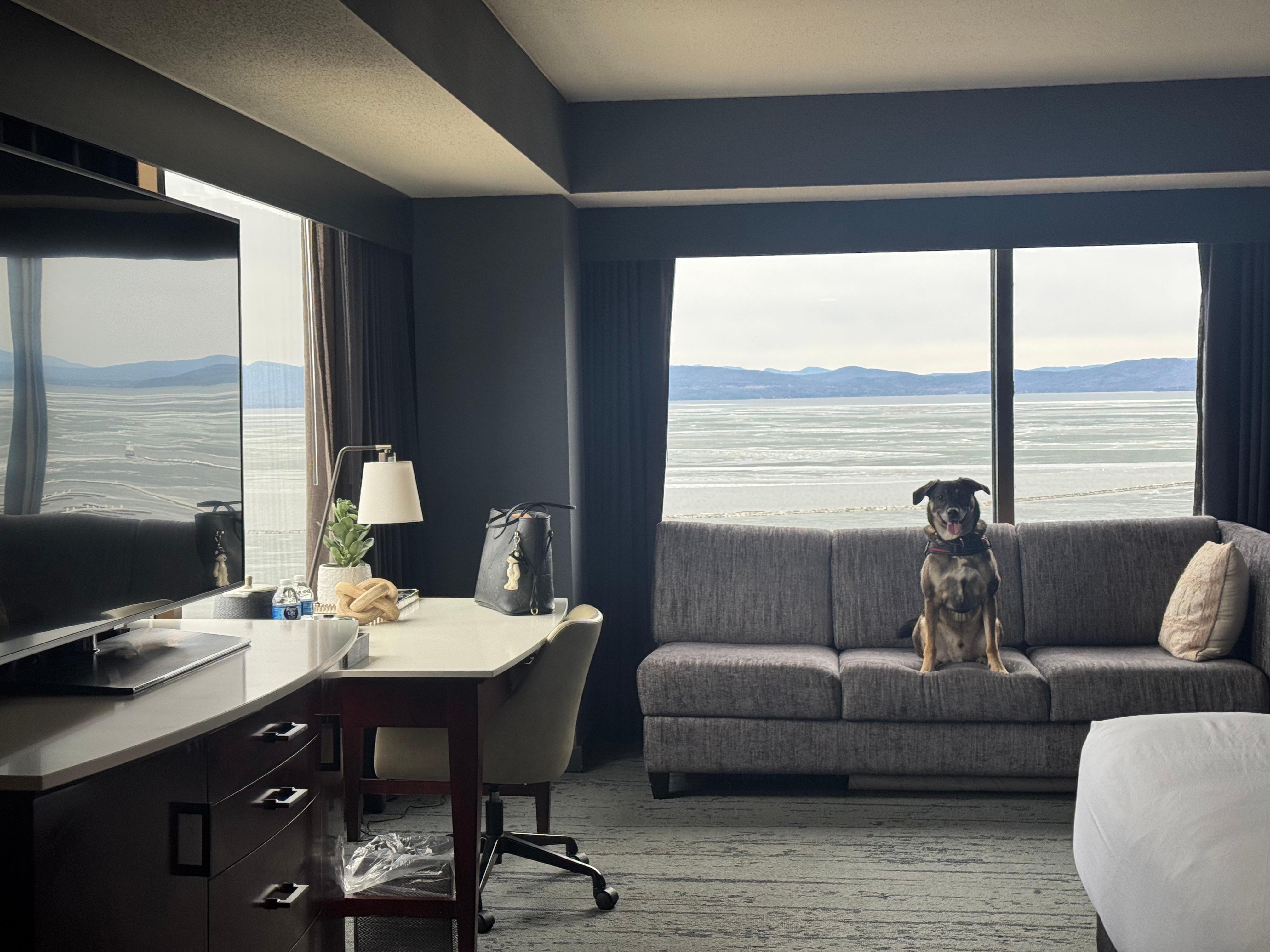 Clean, sleek room with an incredible view!