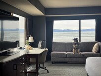 Clean, sleek room with an incredible view!