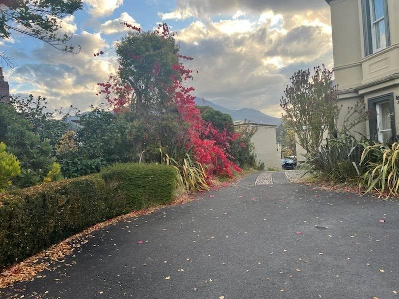 Drive way
