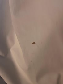 Blood stains on curtains