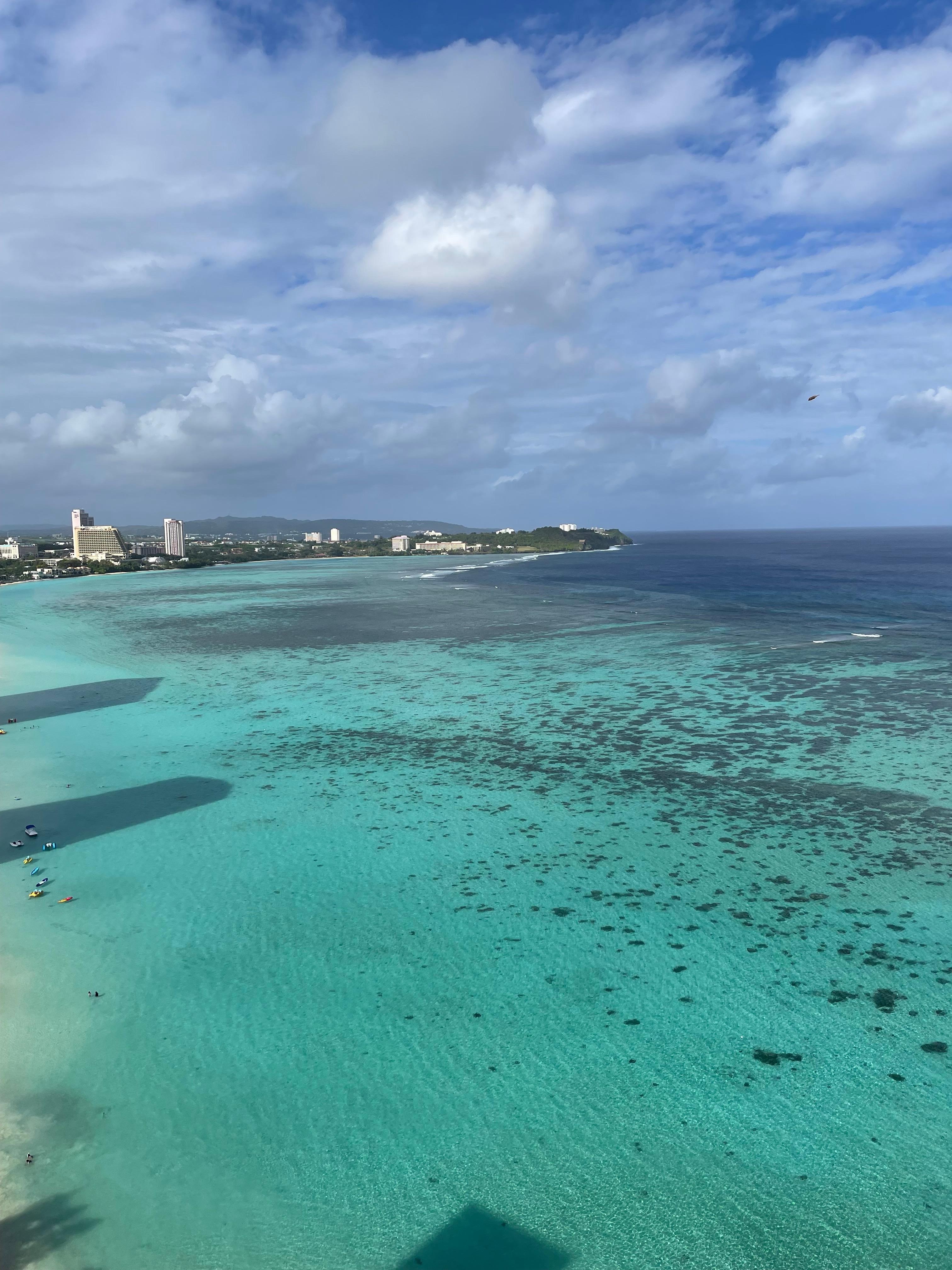 部屋からの眺め