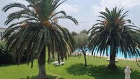 Pool and grounds