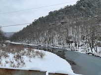 Mulberry near Turner Bend