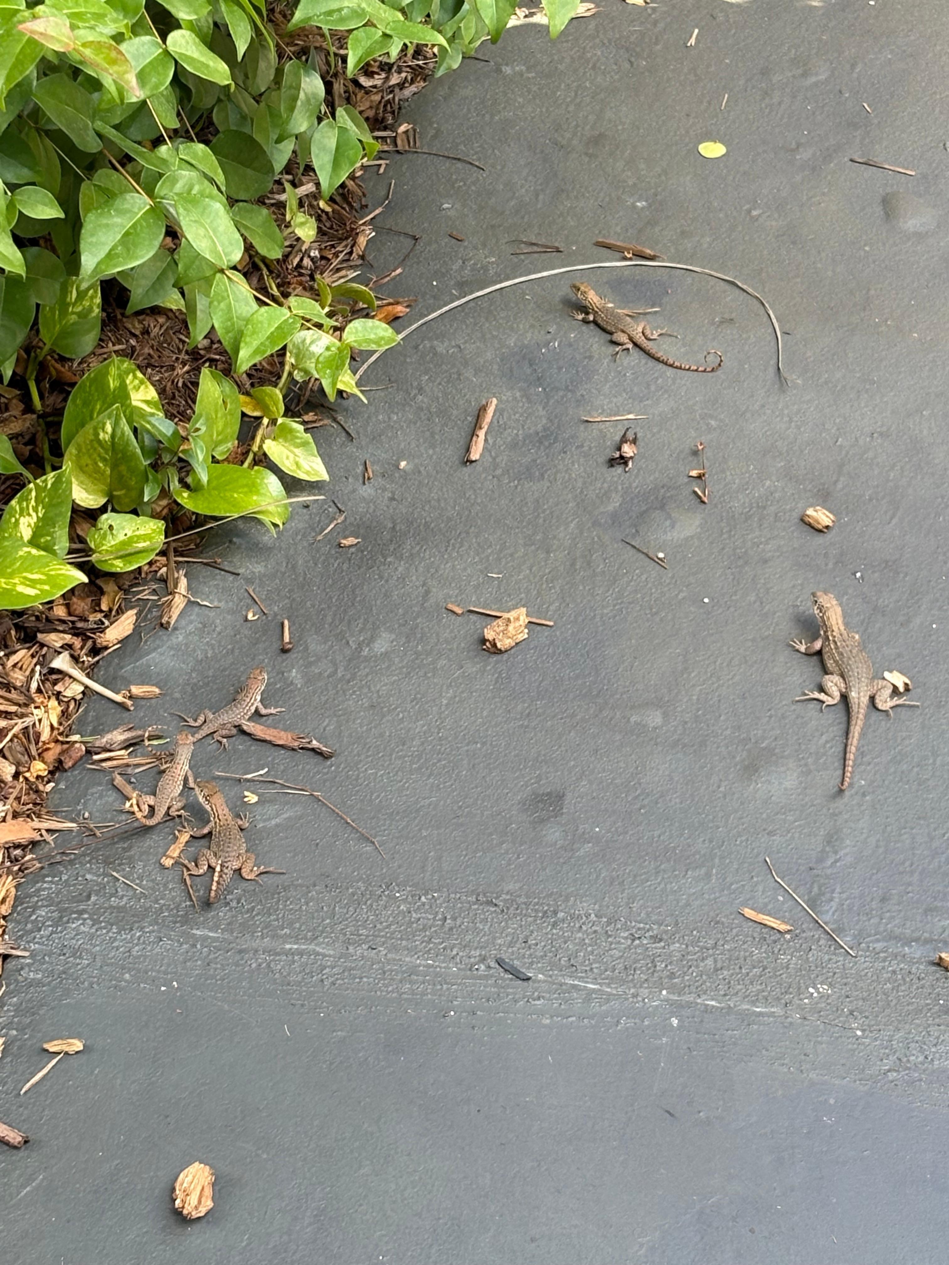 Our greeting party!!