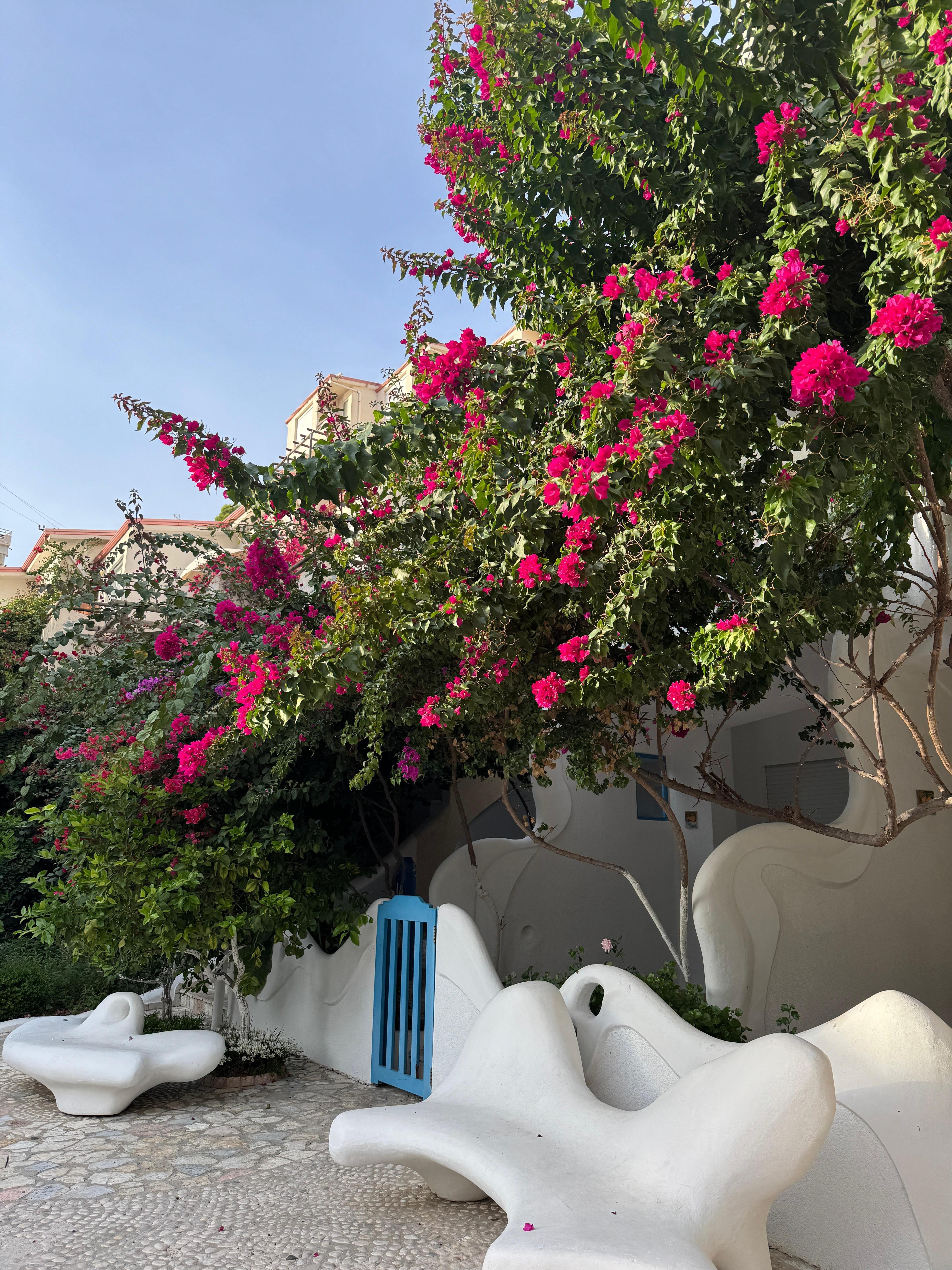 Outside the hotel/garden side