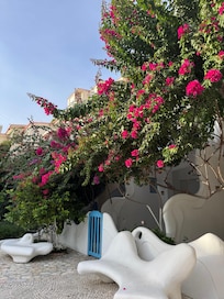 Outside the hotel/garden side