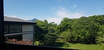 View from breakfast room